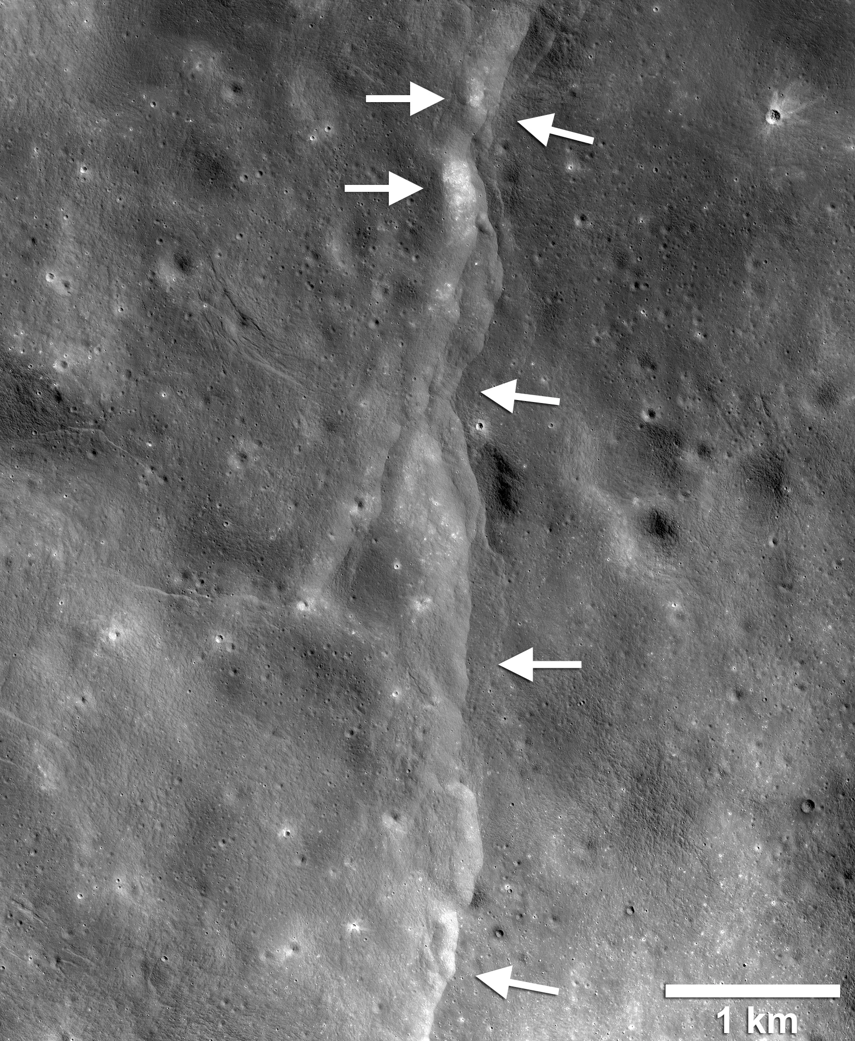 A high-resolution Lunar Reconnaissance Orbiter Camera image of a lobate thrust-fault scarp on the Moon, a low stair-step cliff cutting across the cratered surface, with boulder fields visible on the upthrown side