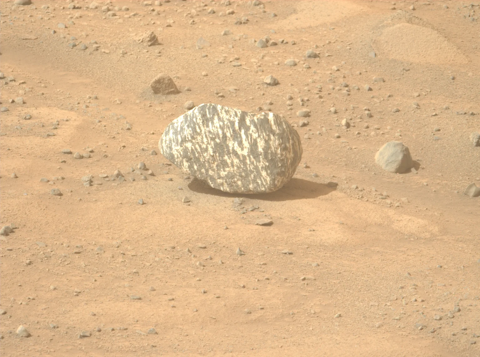 This image, acquired by the Left Mastcam-Z camera aboard NASA's Perseverance rover, reveals a rock displaying distinctive black-and-white banding on the Martian surface.